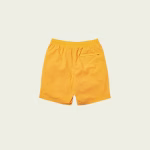 Palace shorts orange back view