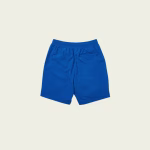 palace shorts Blue back view